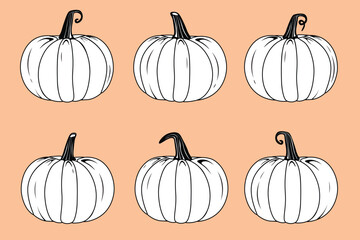 Vector black and white pumpkins set collection isolated on transparent background Vintage style vegetables design elements Farm gardening cooking dessert and halloween concept retro realistic pumpkins