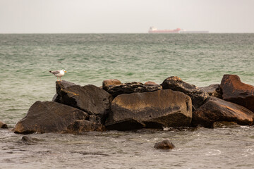 Bunker bei Grenen, Ost-/Nordsee, Skagen, Dänemark