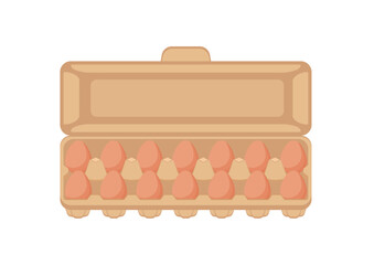 Raw Egg Carton Vector Illustration Isolated on White Background