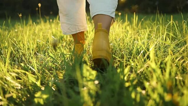 close up of farmer feet in yellow boots walks through a green field of wheat at sunset. Business agriculture concept. High quality FullHD footage