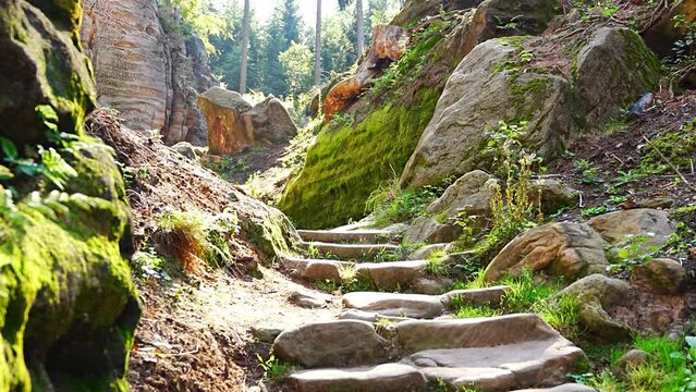 Prachovske skaly in sun lights, Cesky raj sandstone cliffs in Bohemian Paradise, Czech Republic