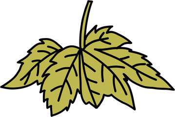 doodle freehand sketch drawing of maple leaf.	