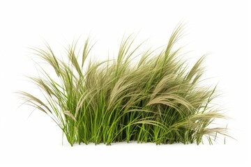 A lush green rice field surrounded by nature, showcasing the beauty of agricultural landscapes and growth.