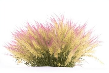 A vibrant meadow bursting with colorful ornamental grasses and wildflowers, adding natural beauty to the landscape.