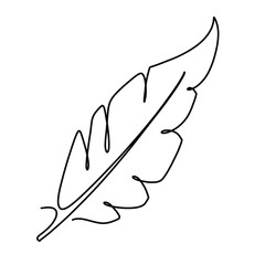 Vector continuous one line feather illustration