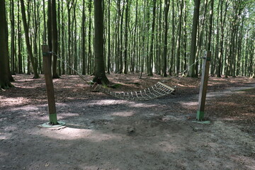 Place to relax in the Jasmund National Park on the Baltic Sea island of Rügen