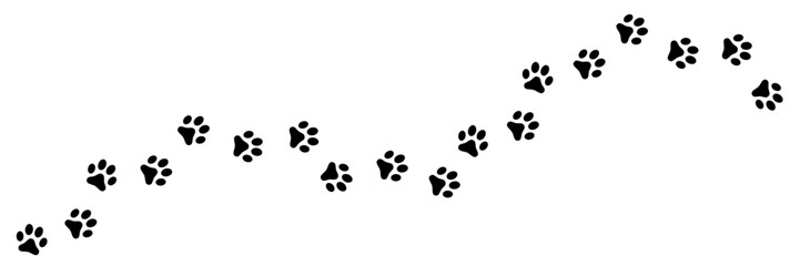 Paw print trail. Dog, puppy, cat paw print. Paw print silhouette animal on white background. - obrazy, fototapety, plakaty