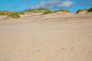 Råbjerg Mile, Sanddüne, Dänemark