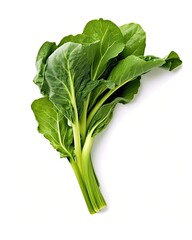 Chinese broccoli on White background, HD