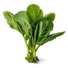 Chinese Mustard Greens on White background, HD