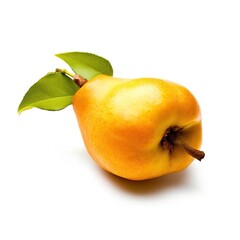Chinese quince Pseudocydonia sinensis on White background, HD