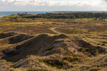 Skagen Dünenlandschaft, Dänemark