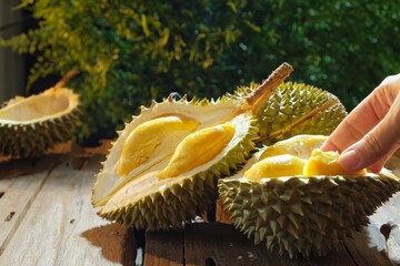 Durian musang king on the table over dark background