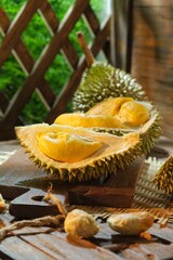 Durian musang king on the table over dark background