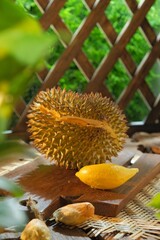 Durian Musang king is the king of fruit in Asian country. 