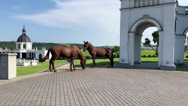 Beautiful brown horses stand in the courtyard