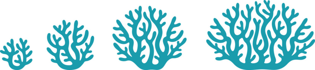 Crop stages of coral. Isolated coral on white background