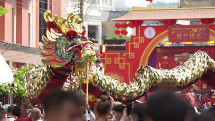 dragon puppet and the lion puppet perform during the Chinese New Year festival.