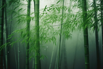 Enchanting Bamboo Forest in Fog