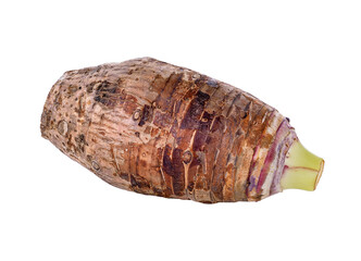 taro roots on white background