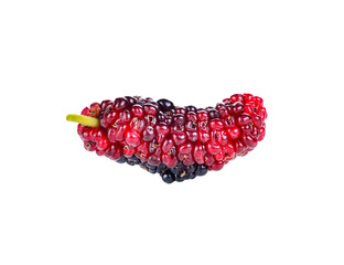 mulberry transparent png
