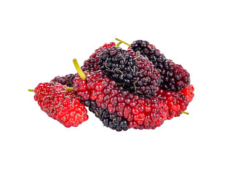 mulberry transparent png