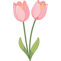 beauty pink tulips flowers icon