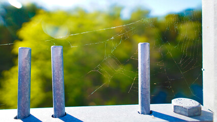 Bridge railing covered in spiderwebs