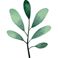 branch plant with leafs watercolor style