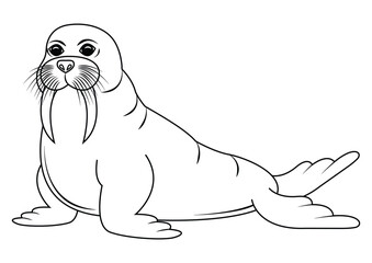 Black and white walrus cartoon character vector. Coloring page of cartoon walrus