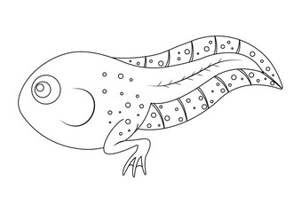 Coloring Page of Tadpole Cartoon Character Vector Illustration Isolated on White Background