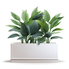 Illustration of a wooden planter box with shrubs or herbs planted in it. Isolated on white background.