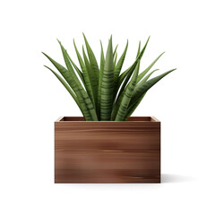 Illustration of a wooden planter box with shrubs or herbs planted in it. Isolated on white background.