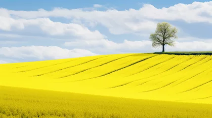 Zelfklevend Fotobehang Spring Wavy Yellow Rapeseed Field With White Tree And Wavy Abstract Landscape Pattern.Corduroy Summer Rural Landscape.Yellow Undulating Fields Of Crops. © Sasint