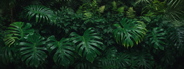 Fototapeta na wymiar leaf texture, foliage nature on a green background, green, grass, vegetation