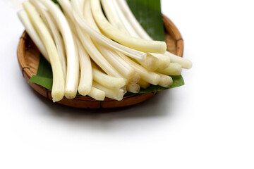 Fresh lotus rootlet on white background.