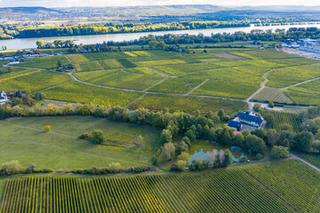 Fototapeta na wymiar Aerial view of the vineyards around Johannisberg/Germany in the Rheingau with the Rhine in the background