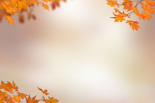 Autumn tree branch on transparent backgrounds  png,  set autumn leaves png, autumn colored with fall leaves frame border,