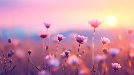 Deurstickers beautiful colorful meadow of wild flowers floral background, landscape with purple pink flowers with sunset and blurred background, Soft pastel Magical nature copy space © Teerapat