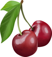 hand drawn fresh cherry design