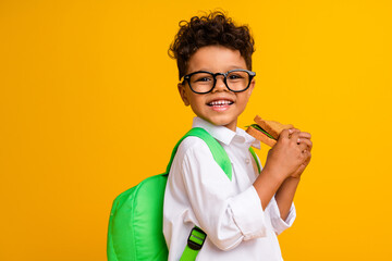 Profile photo of sweet friendly boy toothy smile hands hold yummy sandwich isolated on yellow color background