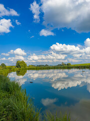 Serene Fishing Lake: A peaceful scene by the tranquil waters of a secluded fishing lake. Surrounded by lush greenery and framed by a clear blue sky, this picture captures the essence of a perfect day 