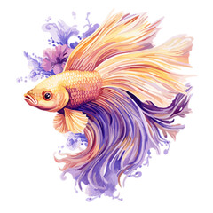 Fototapeta premium Yellow and purple Floral Fighter Fish floral fighter , PNG, Illustration