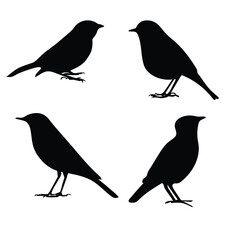 Bird silhouette stock illustration