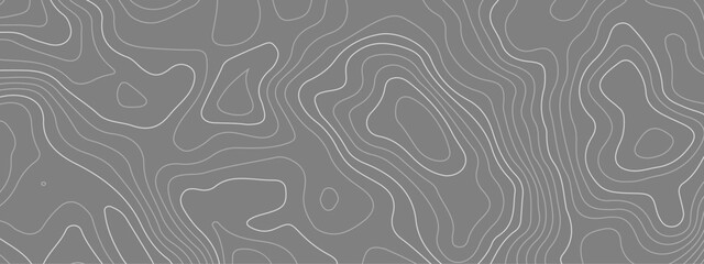 Abstract topographic wavy curve line background. Topography map pattern, Geographic curved relief. Topographic lines background. Vector illustration.