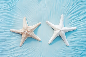 Fototapeta na wymiar starfish on a pastel background, summer banner, copy space 