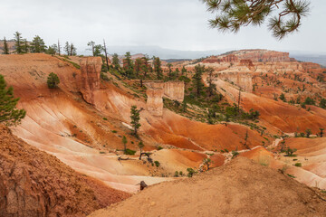 Hoodoos valley in Bryce Canyon National Park