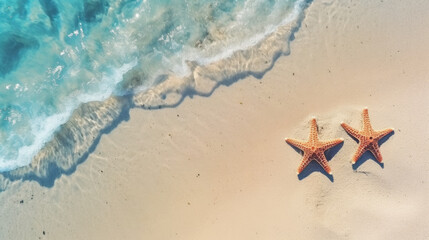 Fototapeta na wymiar Starfish on the sand beach in clear sea water.