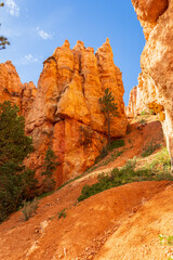 Hoodoos in Queen gardens area, Bryce Canyon National Park