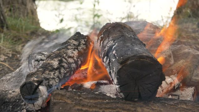 fire burning in oak wood - beautiful flames - slowly burning fire 4K 60 FPS